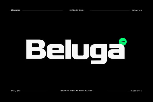 Beluga - Modern Sans-Serif Font family