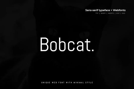 Bobcat - Modern Typeface
