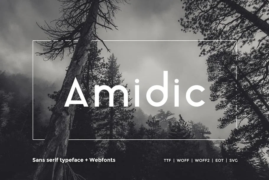 amidic stylish display font