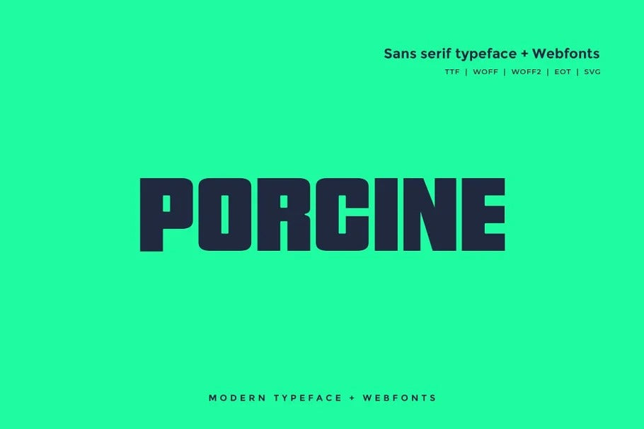 Porcine - Modern typeface