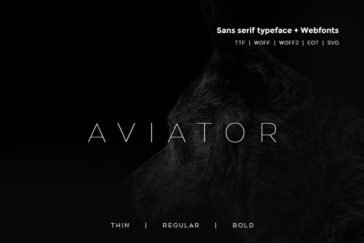 Aviator - Modern Typeface + WebFont